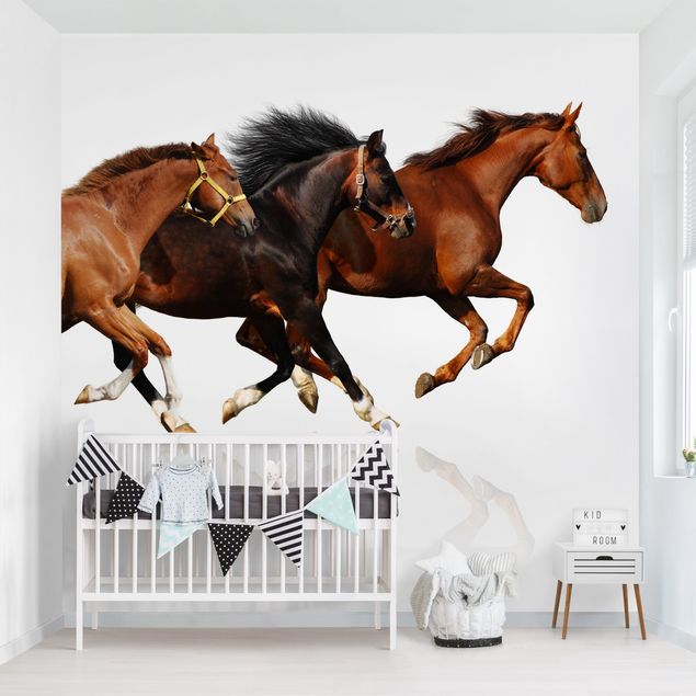 Papel pared animales Horse Herd