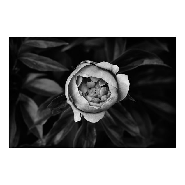Papel pintado Peonies In Front Of Leaves Black And White