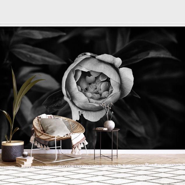 Papel pintado rosas Peonies In Front Of Leaves Black And White