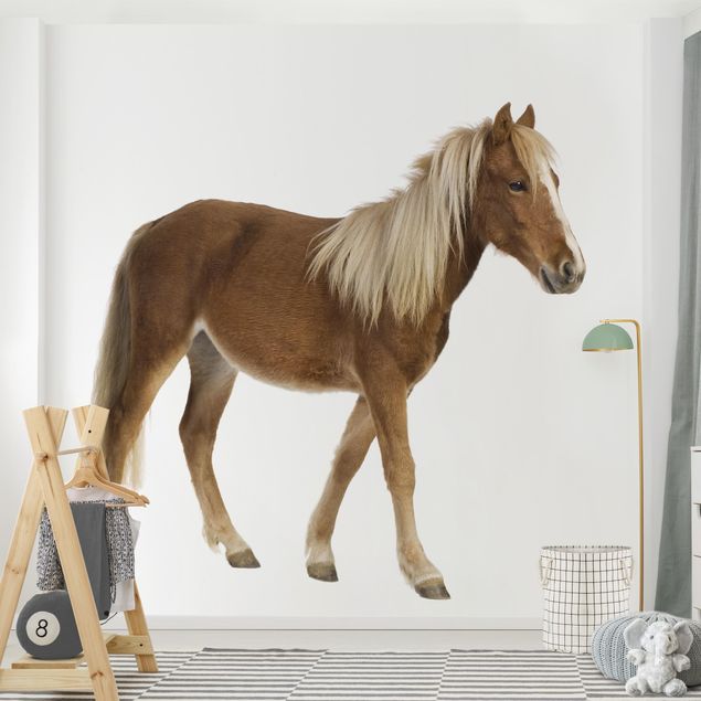 Papel pintado de caballos Pony