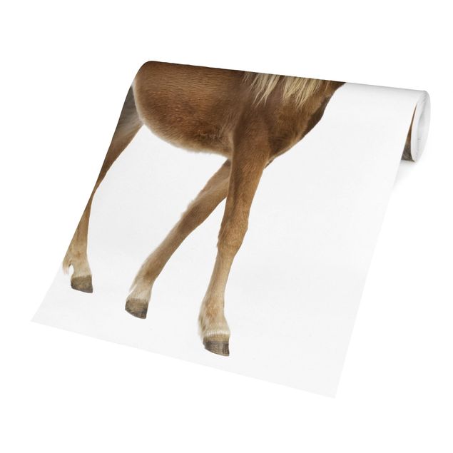 Papel pintado tonos marrones Pony