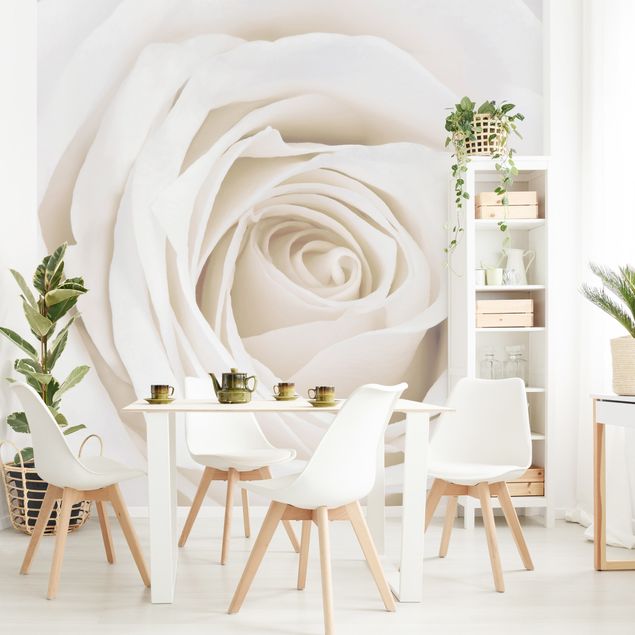Papel pintado floral Pretty White Rose