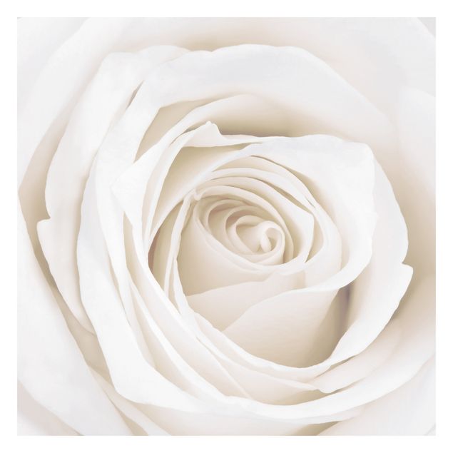 Papel pintado beige Pretty White Rose
