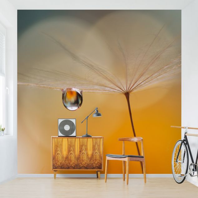 Papel pintado salón moderno Dandelion In Orange