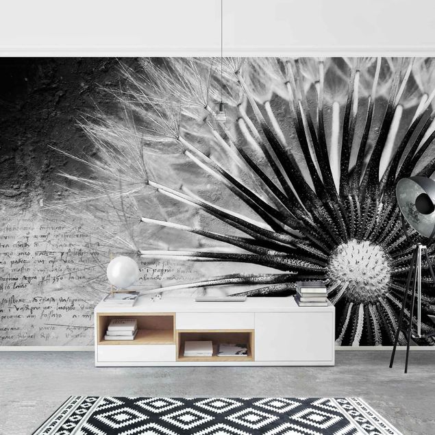 Papel pintado moderno Dandelion Black & White