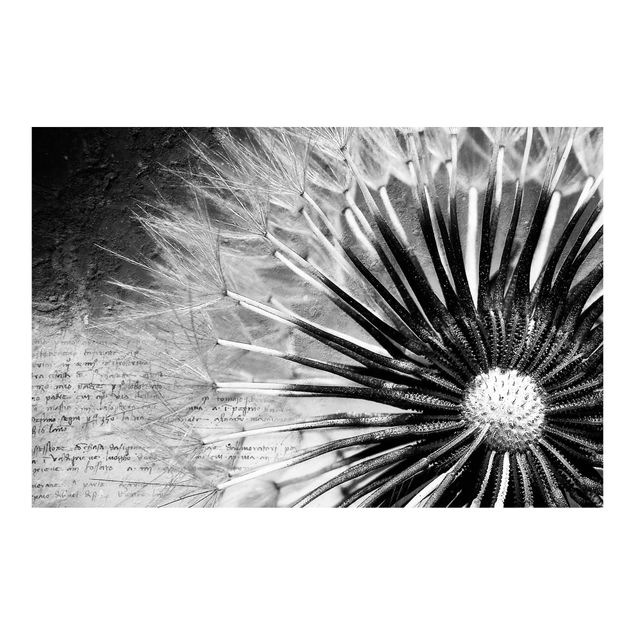 Papel pintado Dandelion Black & White