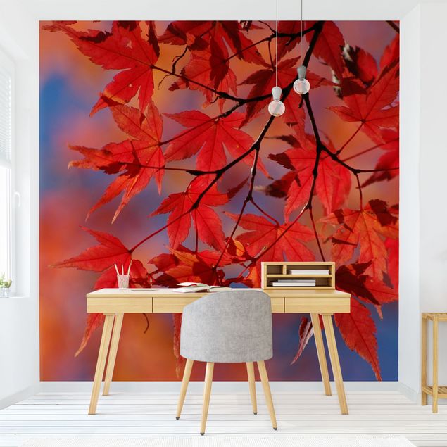 Papeles pintados modernos Red Maple