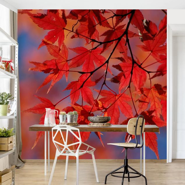 Papel pintado paisajes naturales Red Maple