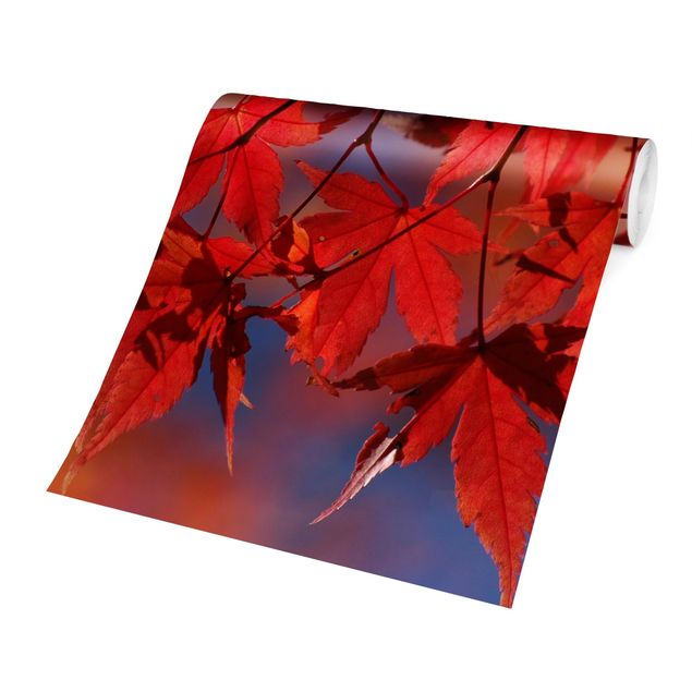 Papel pintado tonos rojos Red Maple