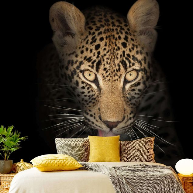 Papeles pintados modernos Resting Leopard