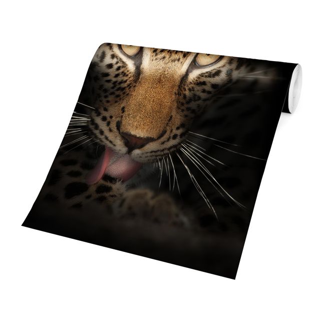 Papel pared animales Resting Leopard