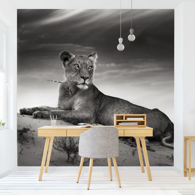 Papeles pintados blanco y negro Resting Lion