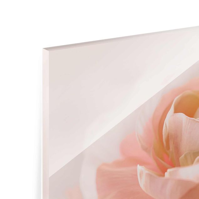 Cuadros de Monika Strigel Focus On Light Pink Flower