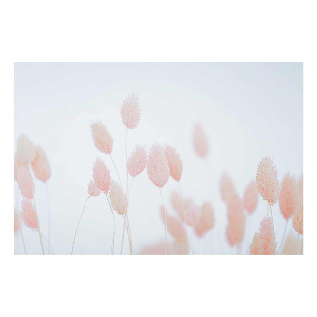Cuadros de Monika Strigel Grass Tips In Pale Pink
