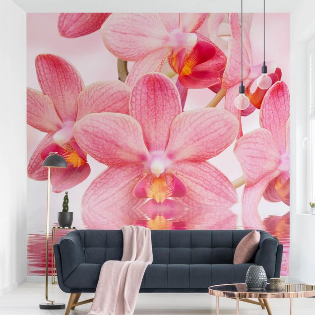 Papel pintado orquídeas Light Pink Orchid On Water
