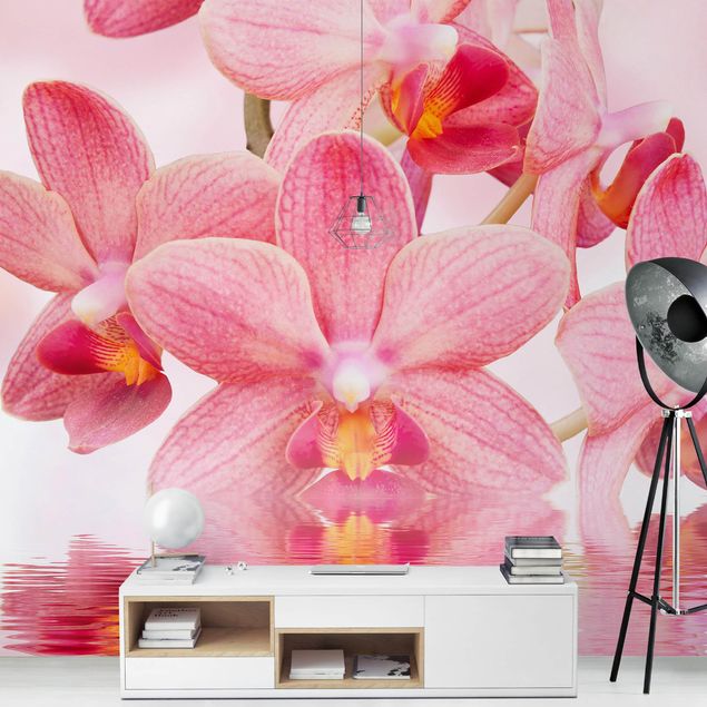 Papel pintado moderno Light Pink Orchid On Water