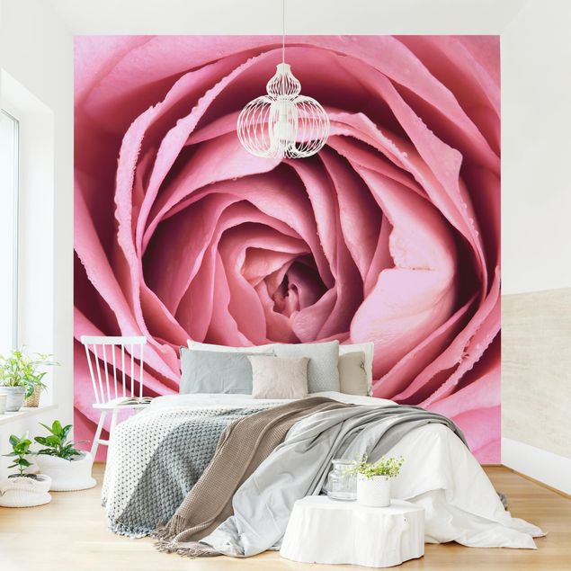Papel pintado flores Pink Rose Blossom