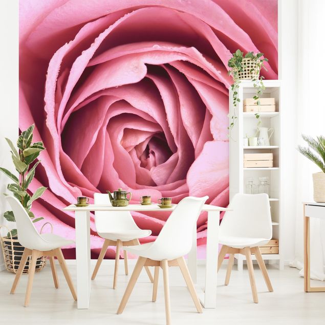 Pintado rústico Pink Rose Blossom