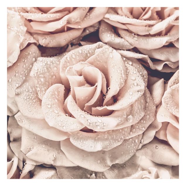 Papel pintado salon beige Roses Sepia With Water Drops