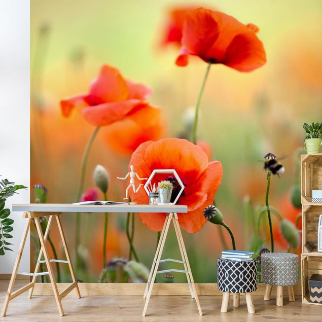 Papel pared flores Red Summer Poppy