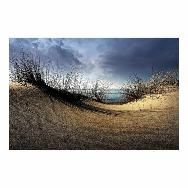 Papel pared paisaje Sand Dune