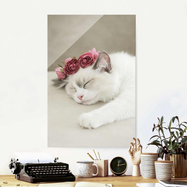 Cuadros de cristal rosas Sleeping Cat with Roses