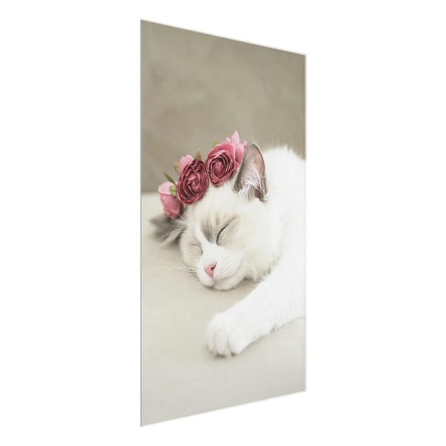 Cuadros de cristal flores Sleeping Cat with Roses