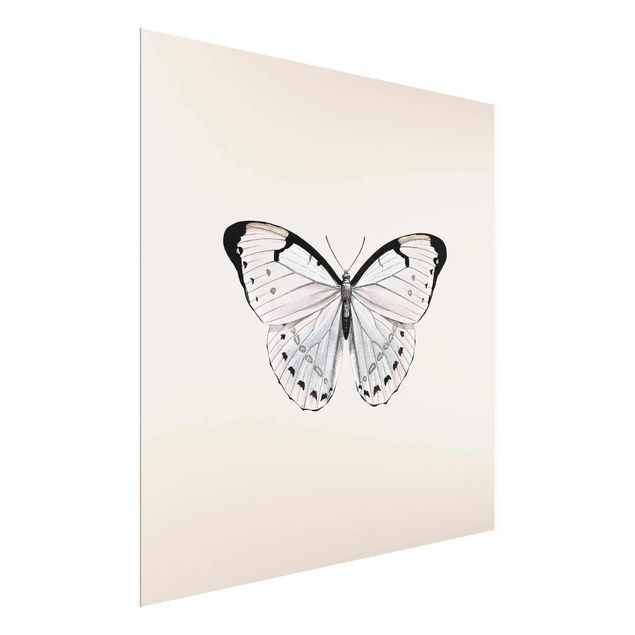 Cuadros decorativos modernos Butterfly On Beige