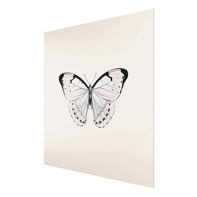 Cuadros de Monika Strigel Butterfly On Beige