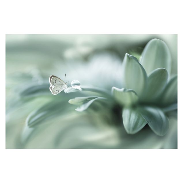 Papel pintado Butterfly And Dew Drops In Pastel Green