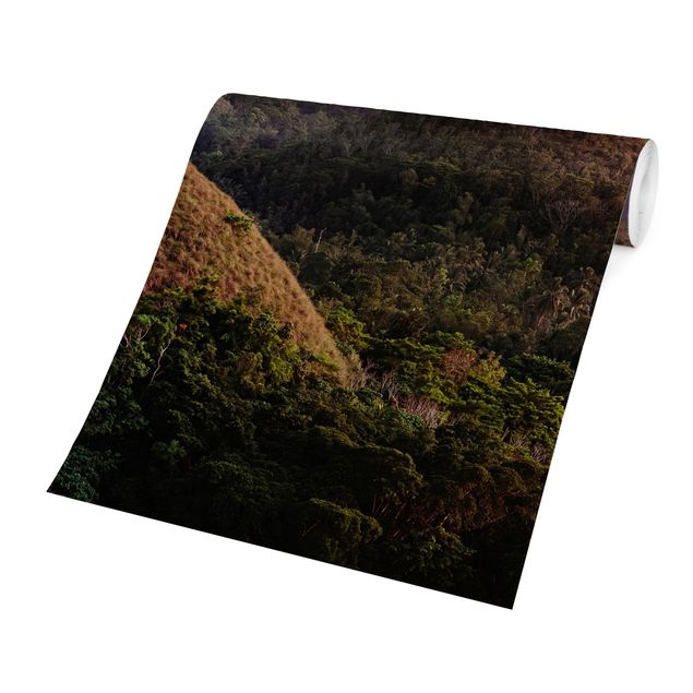Papel pared rosa Chocolate Hills At Sunset