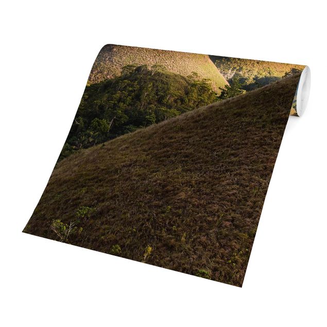 Cuadros de Matteo Colombo Chocolate Hills Landscape
