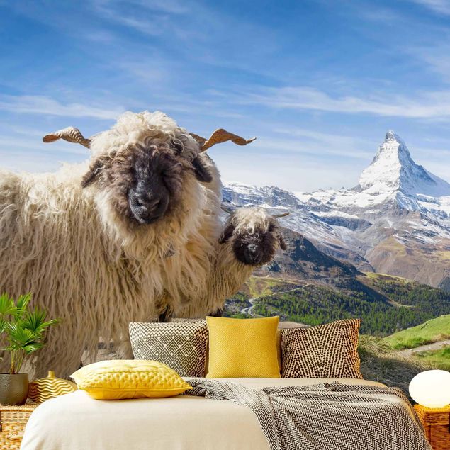 Papel pared montañas Blacknose Sheep Of Zermatt