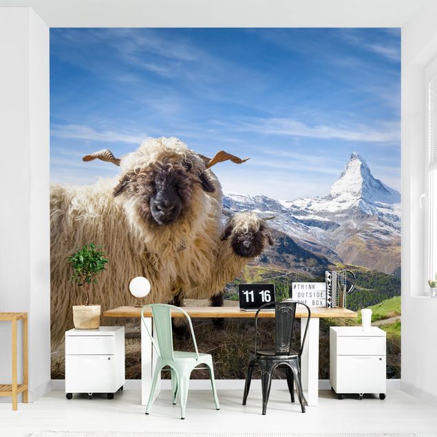 Papel pintado ciudad Blacknose Sheep Of Zermatt