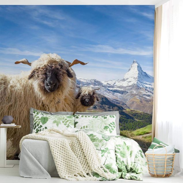Papeles pintados modernos Blacknose Sheep Of Zermatt
