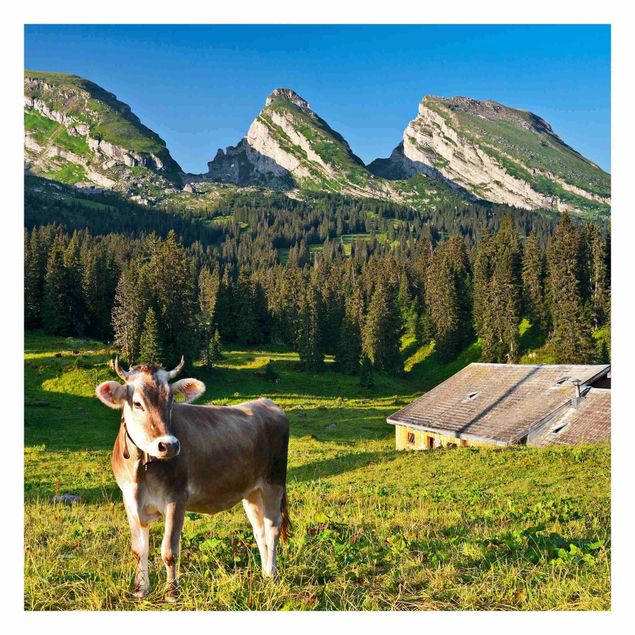 Cuadros Mirau Swiss Alpine Meadow With Cow