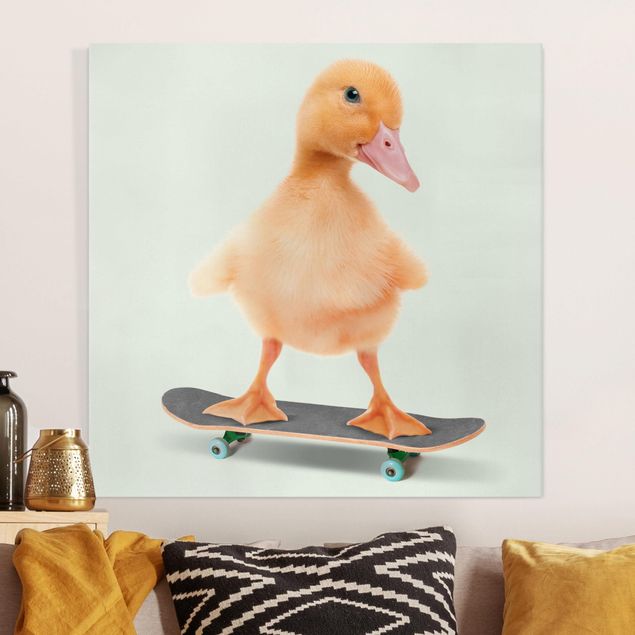 Lienzos de aves Skate Duck
