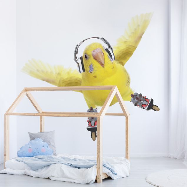 Papel pintado aves Skate Parakeet