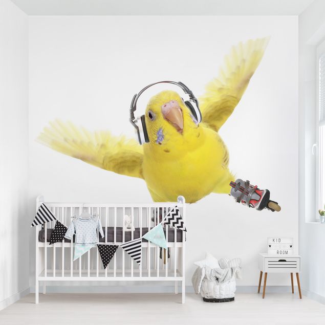 Papel pintado infantil animales Skate Parakeet