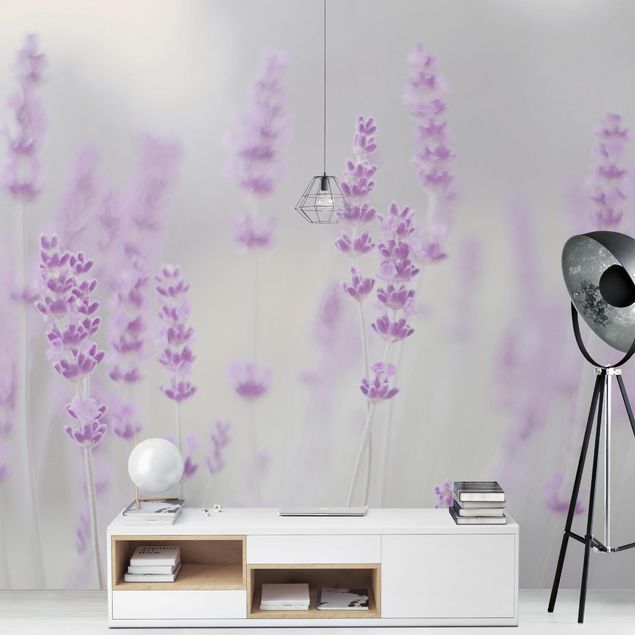 Papel pintado moderno Summer In A Field Of Lavender
