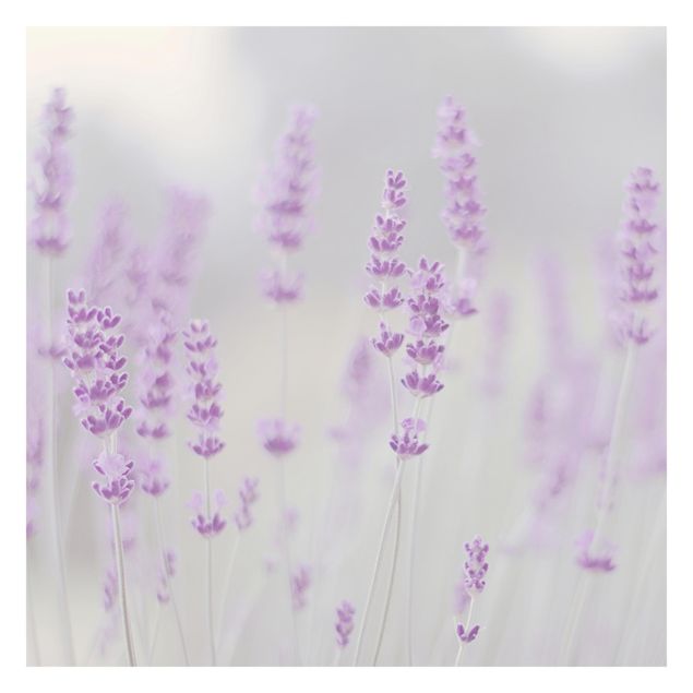 Papel pintado Summer In A Field Of Lavender
