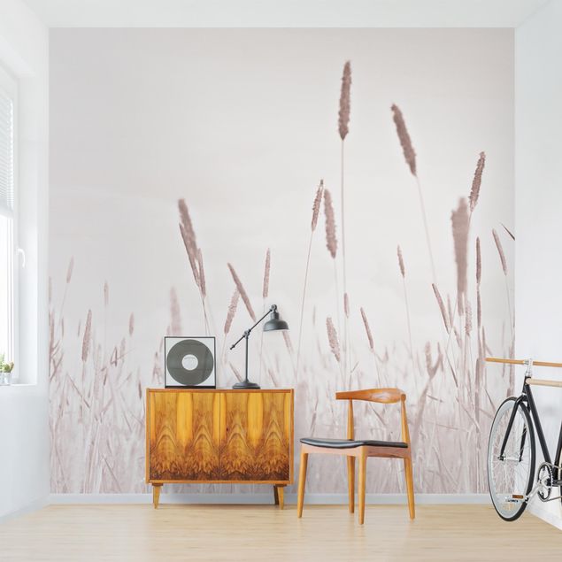 Papel pared flores Summerly Reed Grass