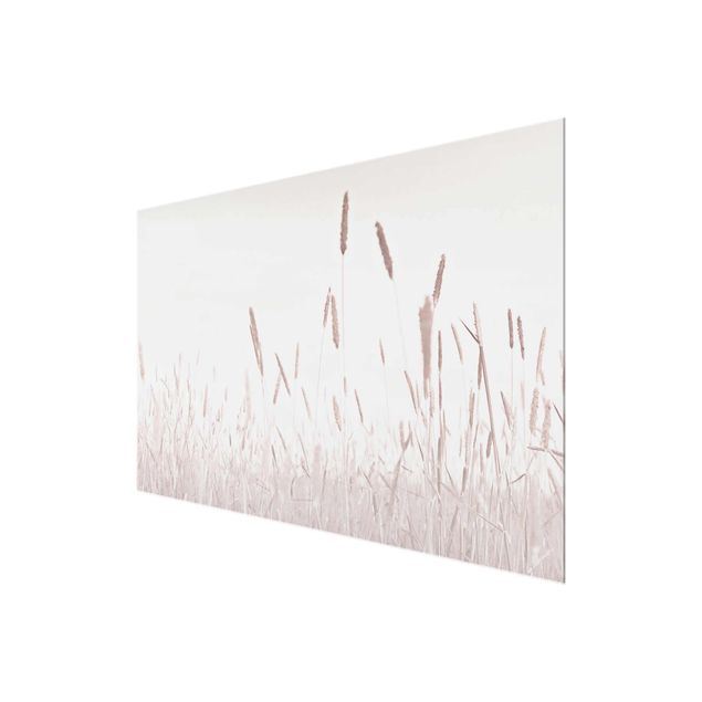 Cuadros Summerly Reed Grass