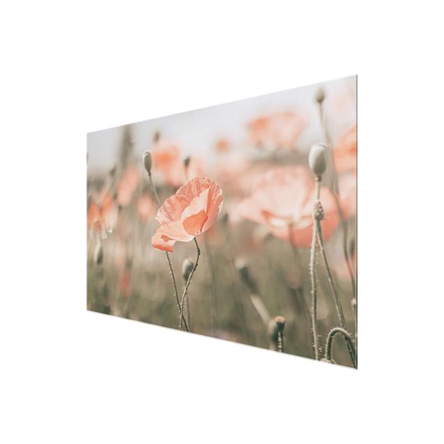 Cuadros de flores Sun-Kissed Poppy Fields