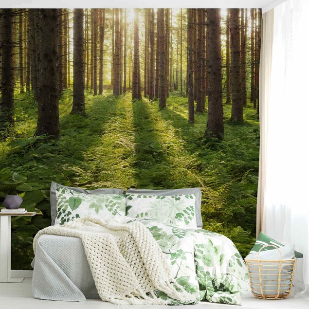 Papel pintado moderno Sun Rays In Green Forest