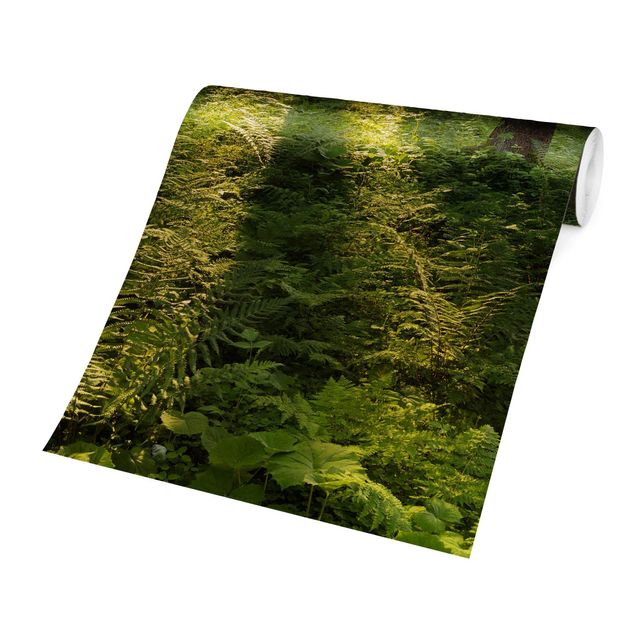 Papel pintado verde Sun Rays In Green Forest