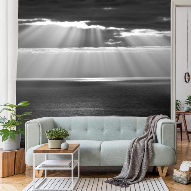 Papel pared mar Sunlit Ocean Black And White
