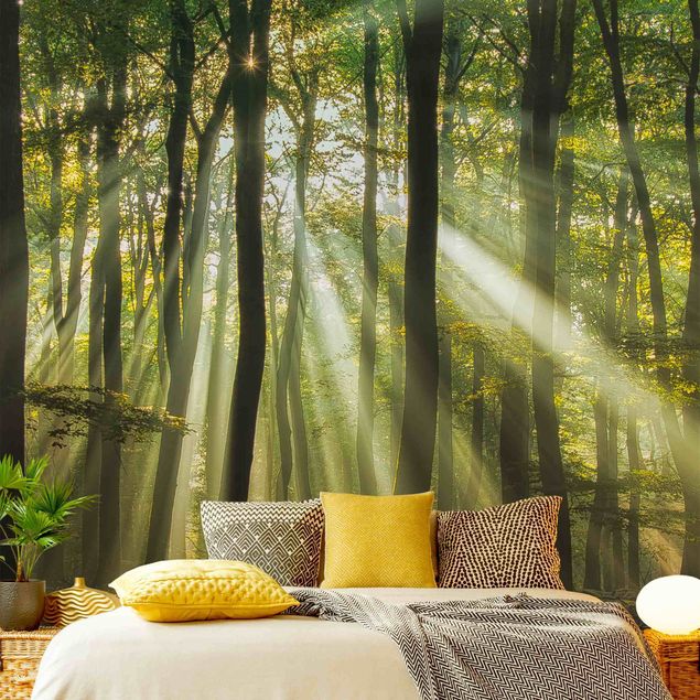 Papel pintado bosque infantil Sunny Day In The Forest