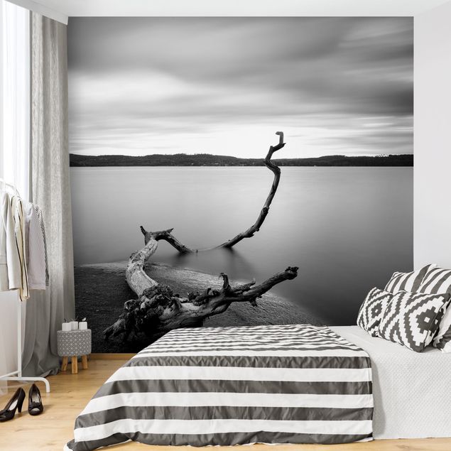 Papel pintado en blanco y negro Sunset In Black And White By The Lake