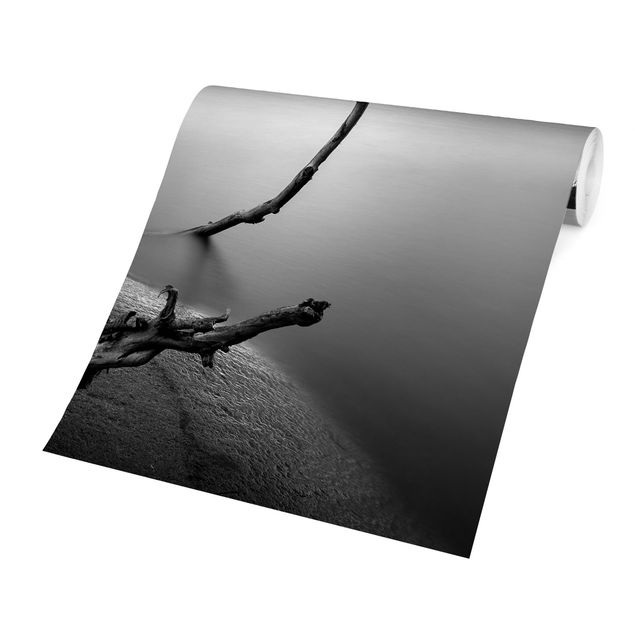 Papel pintado paisajes naturales Sunset In Black And White By The Lake